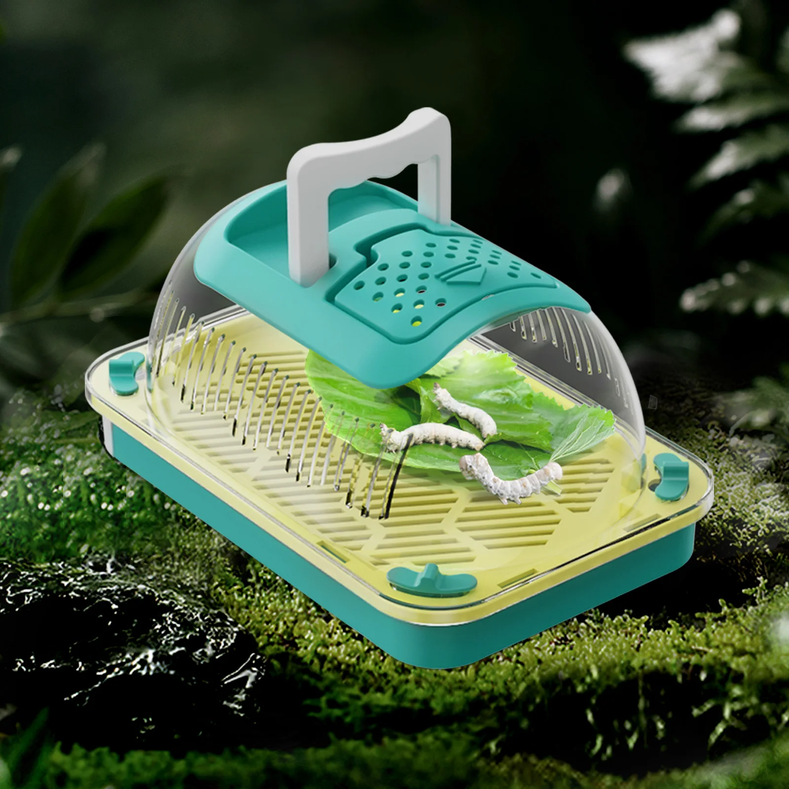 

Портативный ручной ящик для разведения насекомых, ящик для разведения снаружи, подходит для шелкопрядов, гусениц, улиток.