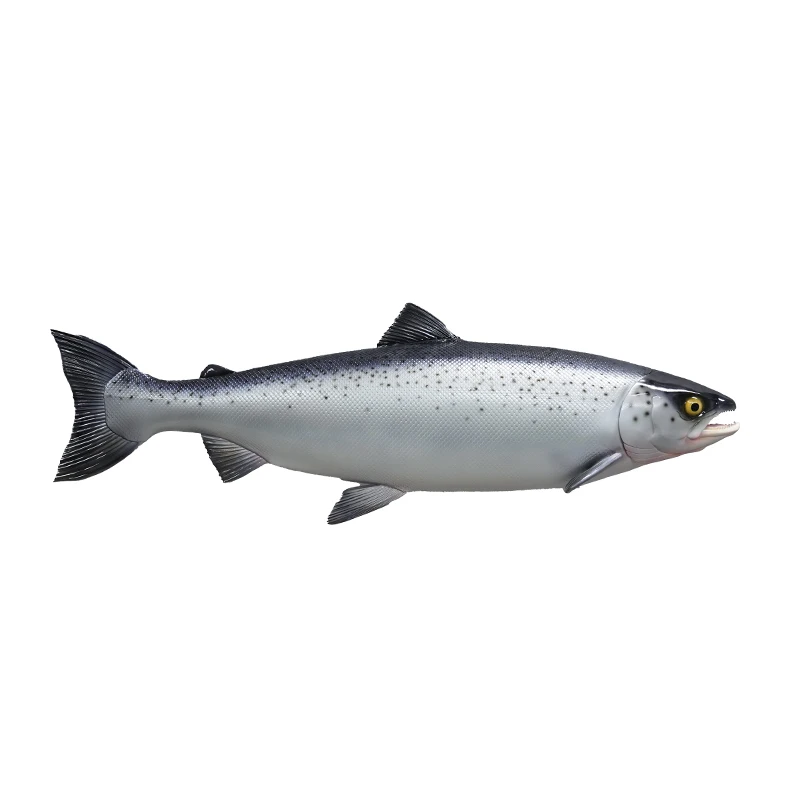 Simulation king salmon salmon sculpture model fake whole salmon fiberglass sculpture Japanese material store decorative ornament