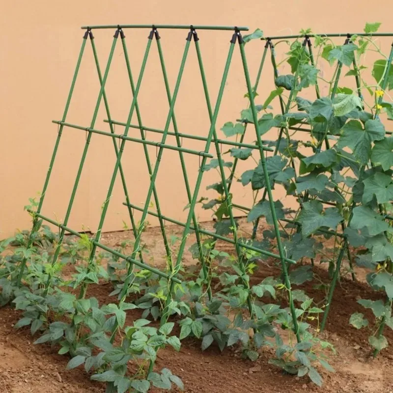 

vegetable plant support poles plastic-coated steel climbing poles for cucumber green bean tomato trellises - garden plant suppo