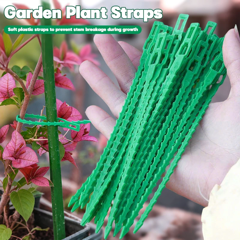 Plant Ties 20 pcs Adjustable Use Shrub Fasteners Reusable Ties Gardening Tree Support Buckles Organizational Tools