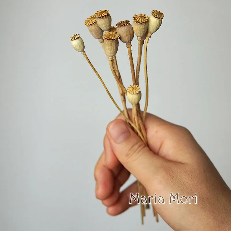 10 Stück/konservierte Blumen, Mais Mohn, Obst, Heimdekoration, DIY-Material, Kristallkleber, handgefertigte Kerzen, Epoxidharzblumen, Gold, Silber – Detail 4