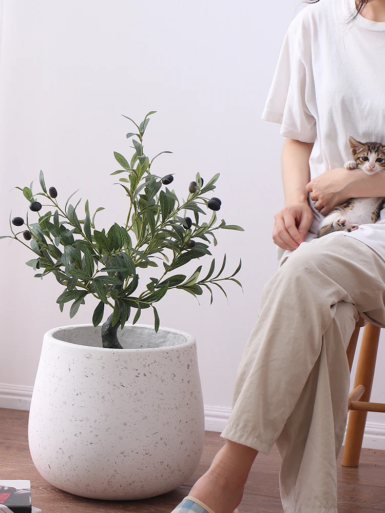 �y�Z�[�����z��^�z���C�g�Z�����g�A�ؔ� �k�����V���v�� �z�[�����r���O���[�� �������c���[ �}�O�l�V�E���N���C ��^�A�ؔ� �p���_�C�X�o�[�h