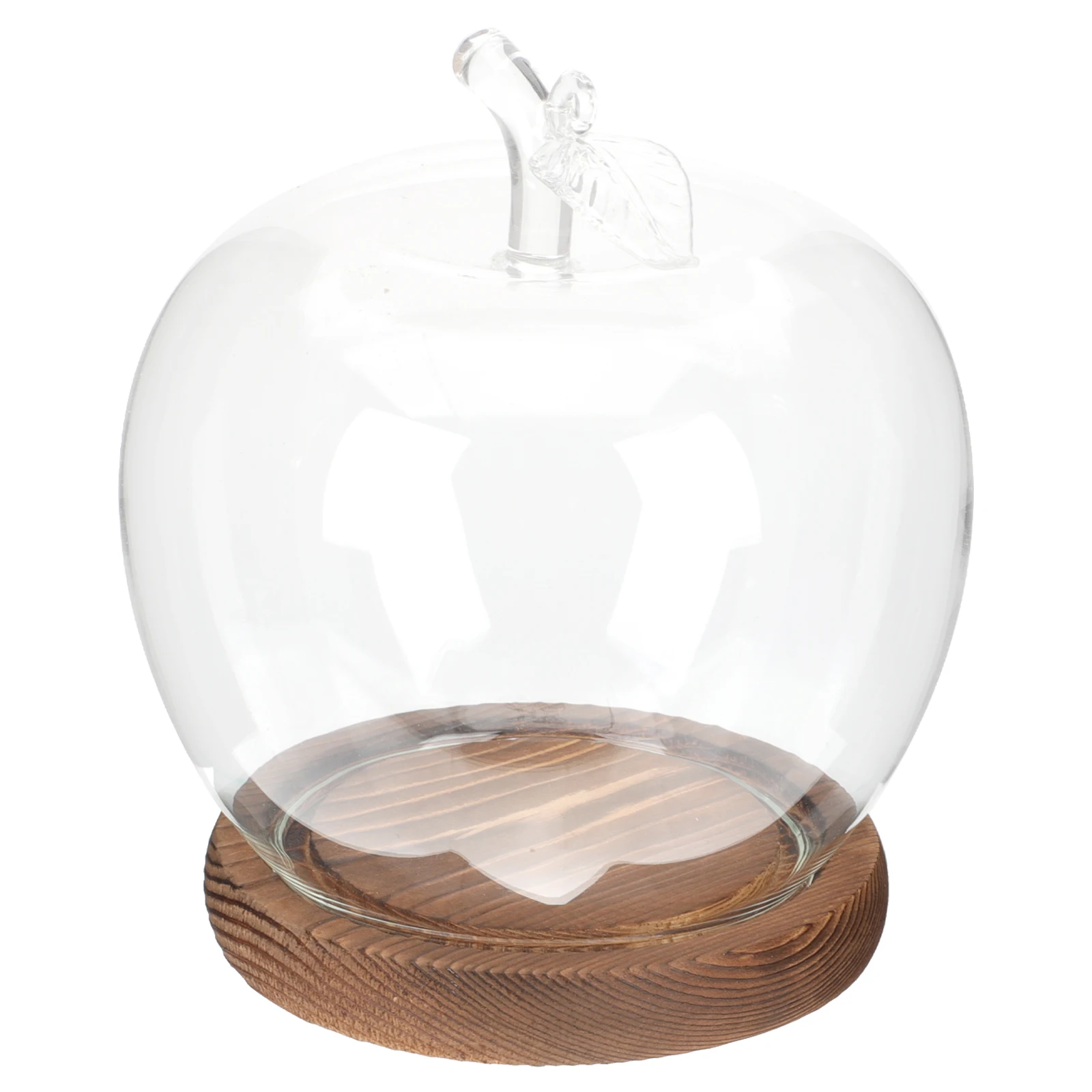 

Apple Glass Flat Wood Base Clear Display for Flower Craft Decor Dustproof Storage Bins Creative Glass Cover Decor Lid