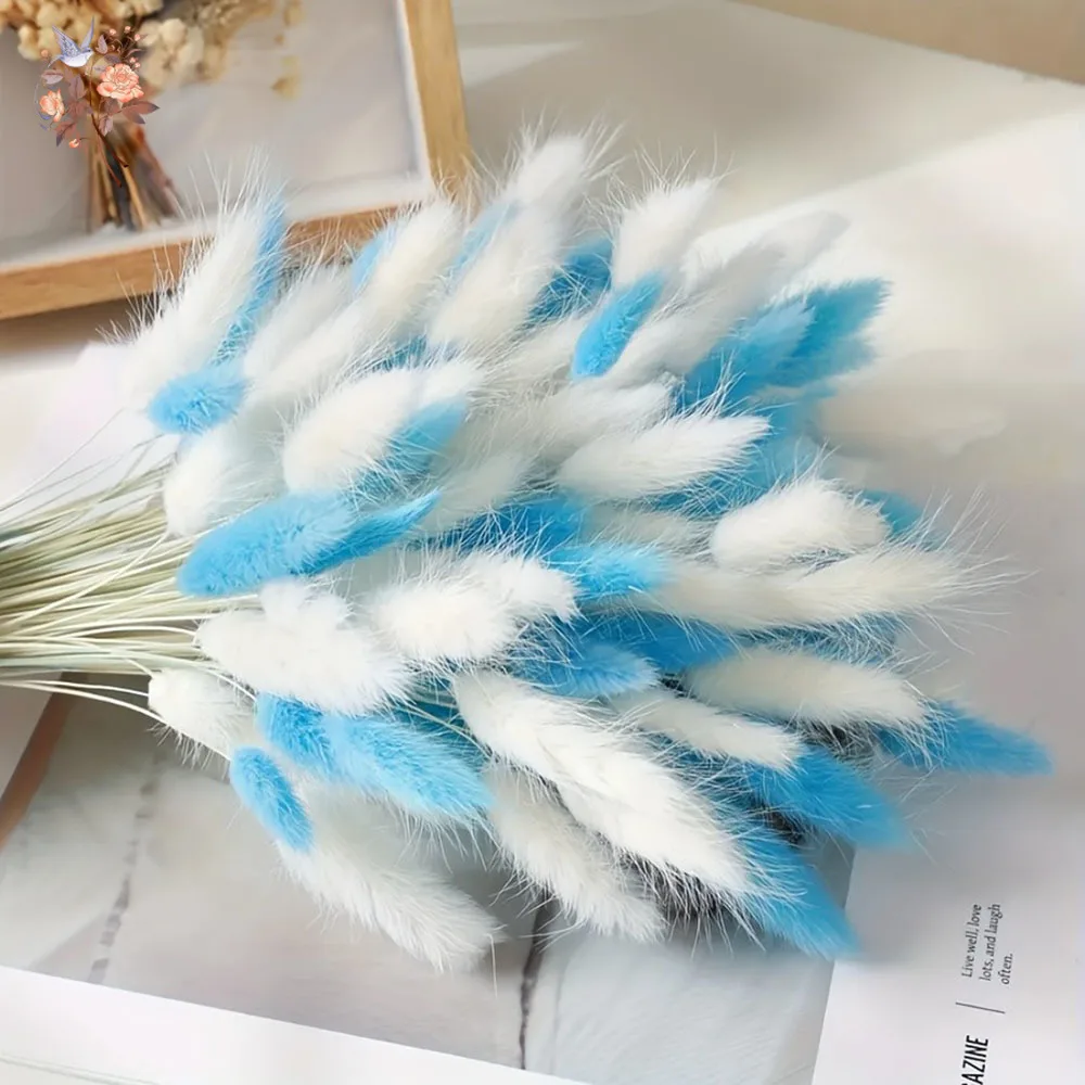 

60/120pcs Mix Blue White Bunny Tail Grass Dry Flower Bouquet for Home Wedding Decor Natural Lagurus Ovatus DIY Photography Props
