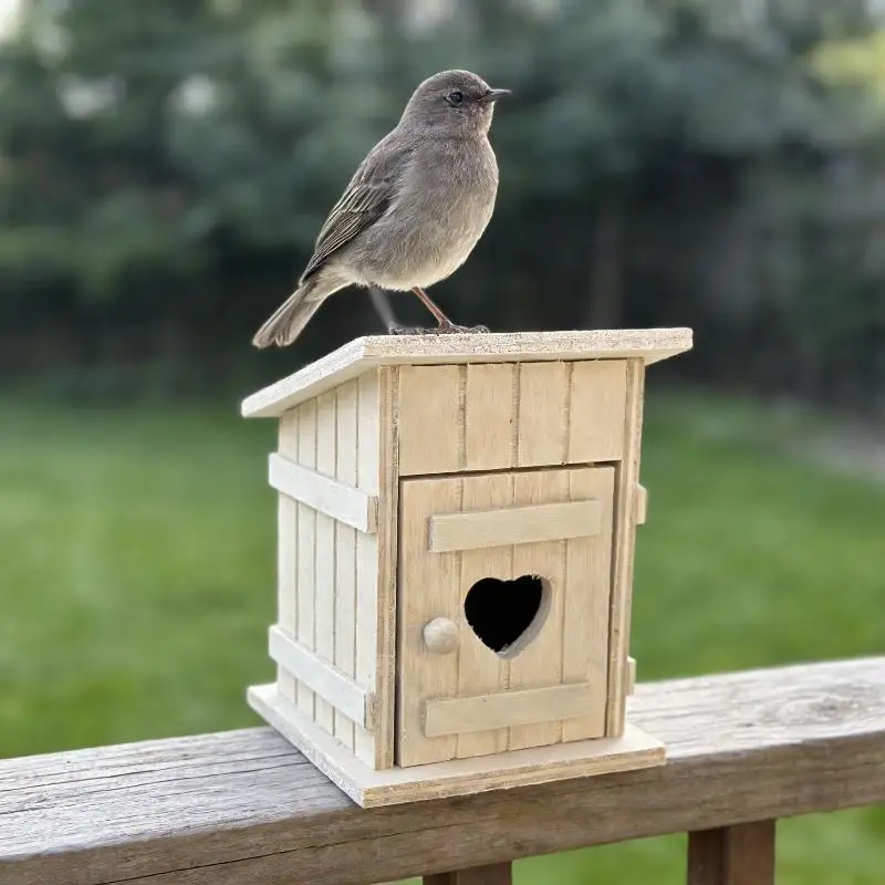 【F】1Pcs Mini Wooden Bird Nest Chicken Coop Model for Dollhouse Outhouse Photography Prop Home Decorature Accessory