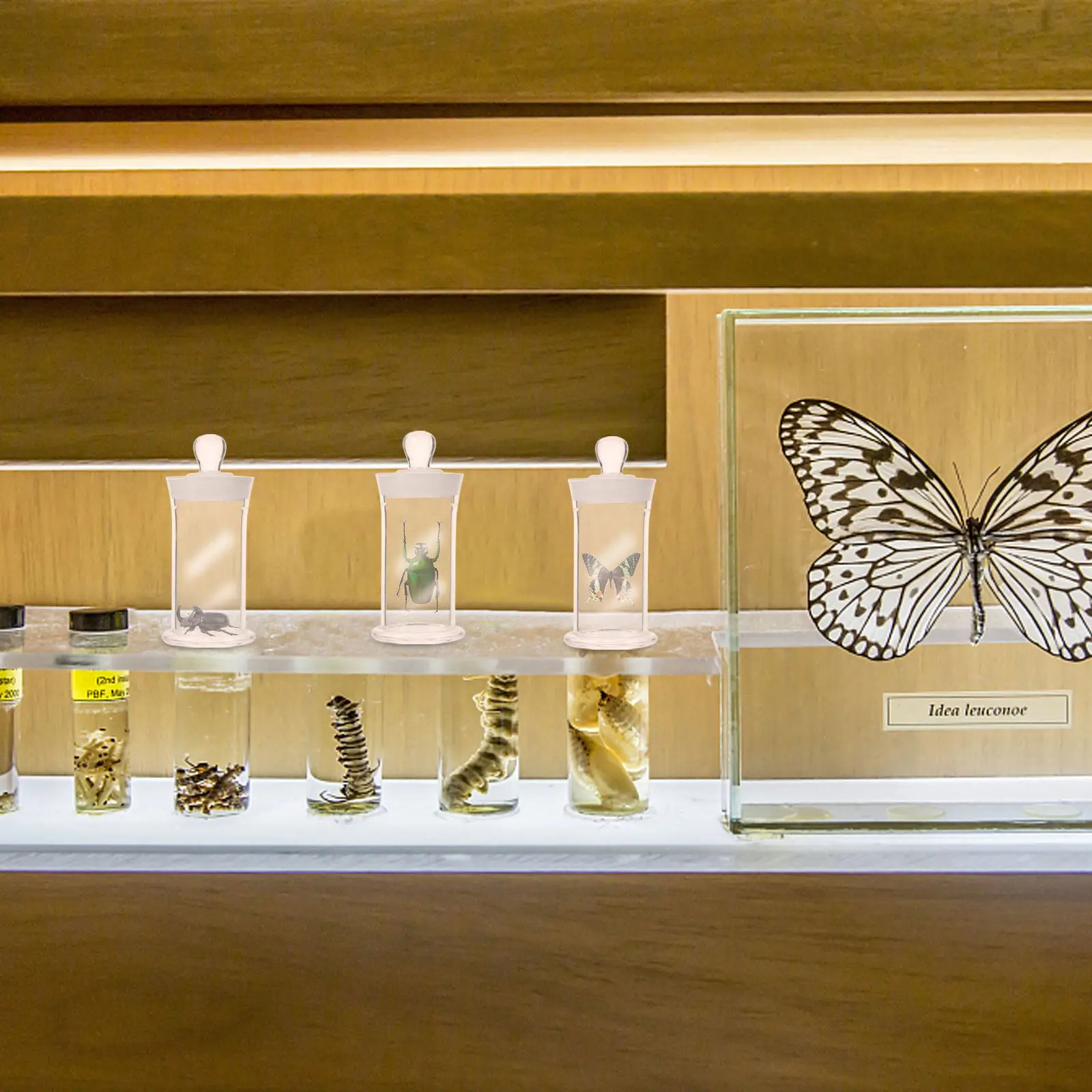 

Устойчивая стеклянная пробирка для образцов, легкая, прозрачная, для удобного хранения и использования в лабораториях