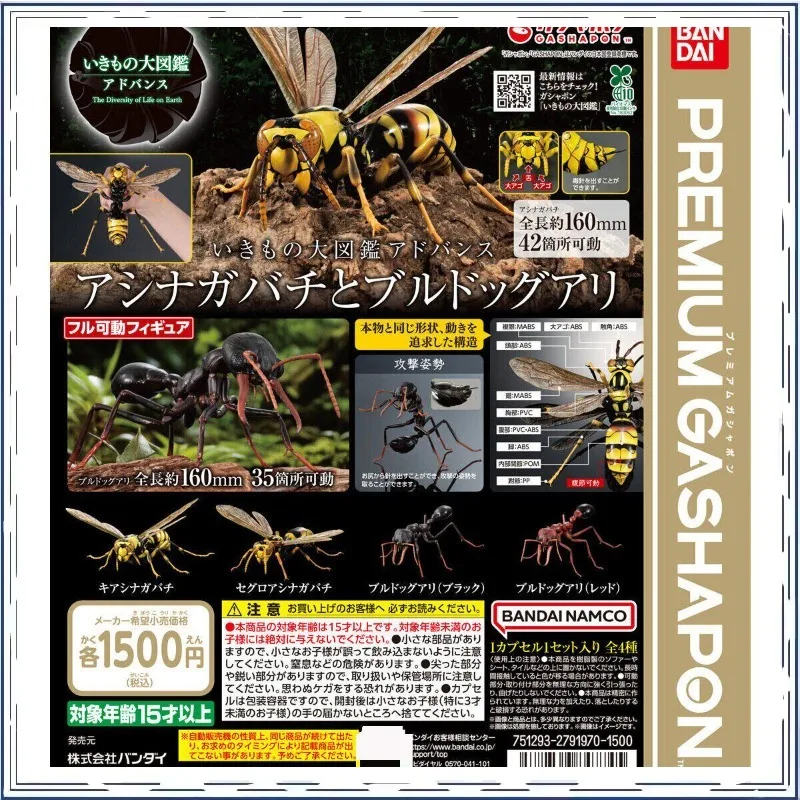 

BANDAI Biology Grand Library Simulation Wasp Myrmecia Gashapon Active Joint Insects Series Collectible Toy