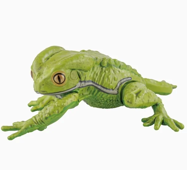 Japanse Echte Gacha Schaalmodel Simulatie Amfibie Kikker Emulatie Tafelblad Decoratie Action Figure Speelgoed
