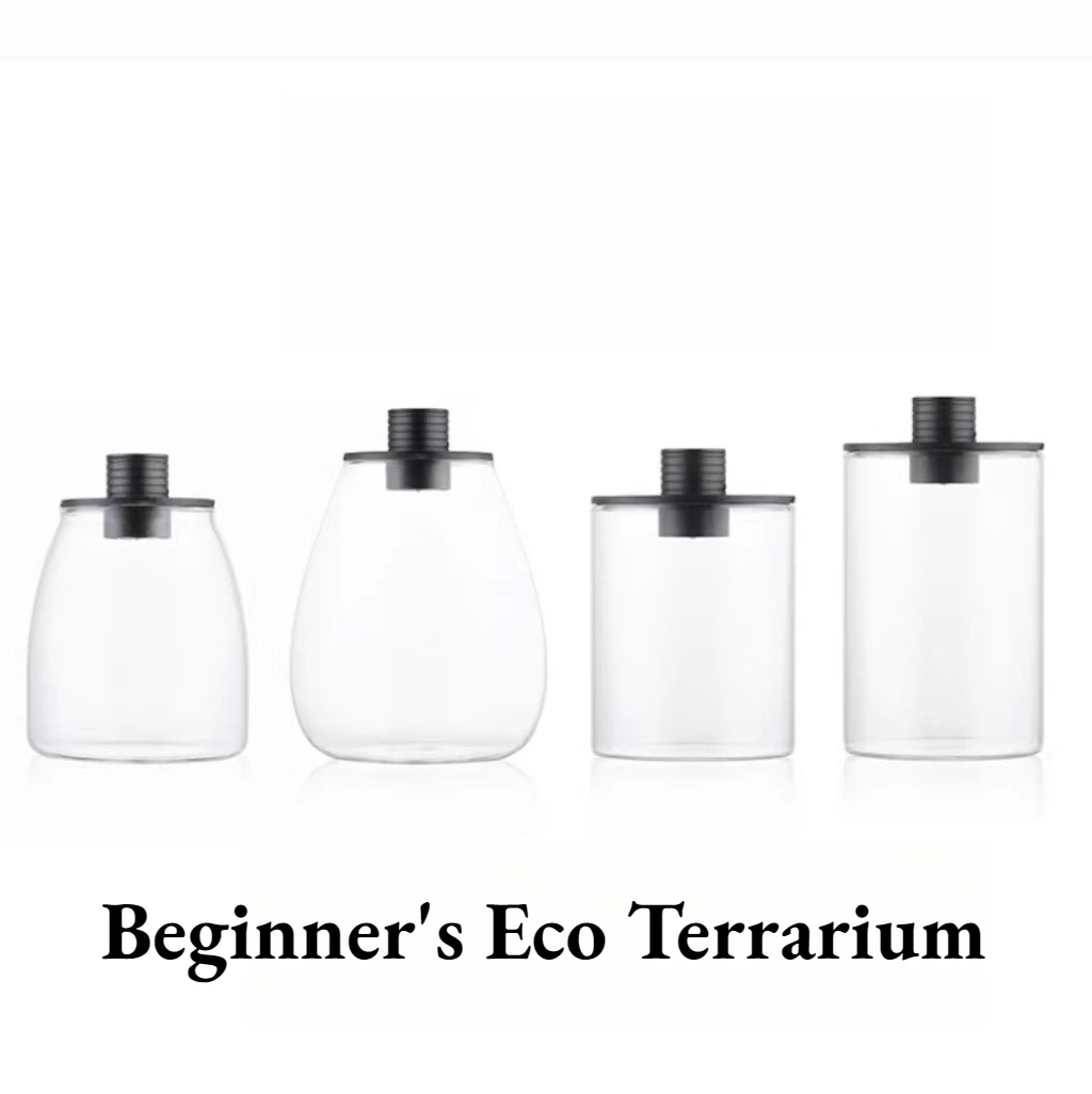 Desktop Clear Moss Micro Landscape Terrarium With LED Plant Supplement Light Mini Glass Vessel Indoor Landscape Lamp