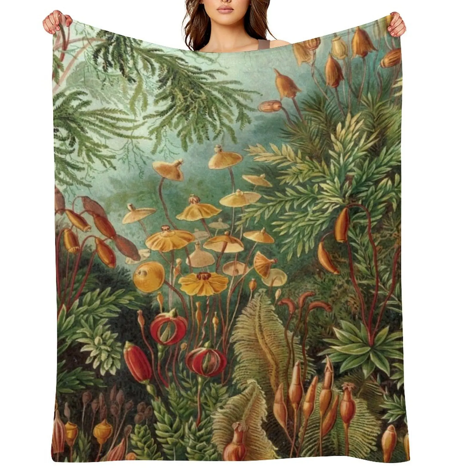 

Haeckel Muscinae Drawing Throw Blanket Moving anime Soft Plush Plaid Polar Blankets