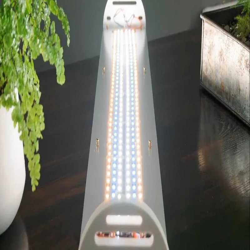 High CRI Ra 90+ DC12V 5M 300leds LED Strip Light SMD5630  Warm White Neutral White Daylight White Pure White for Room Kitchen