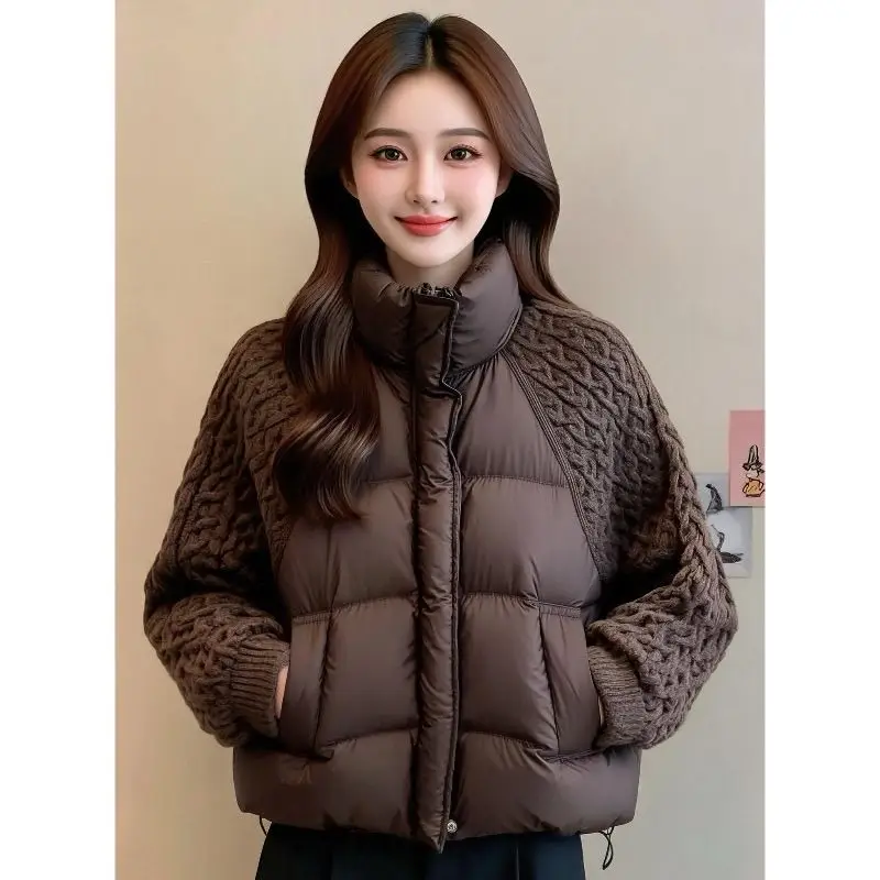 High-Quality Warm Cotton-padded Jacket Female 2027 Autumn Winter New Down Coat Women Parkas Short Overwear Stand Collar Outcoat