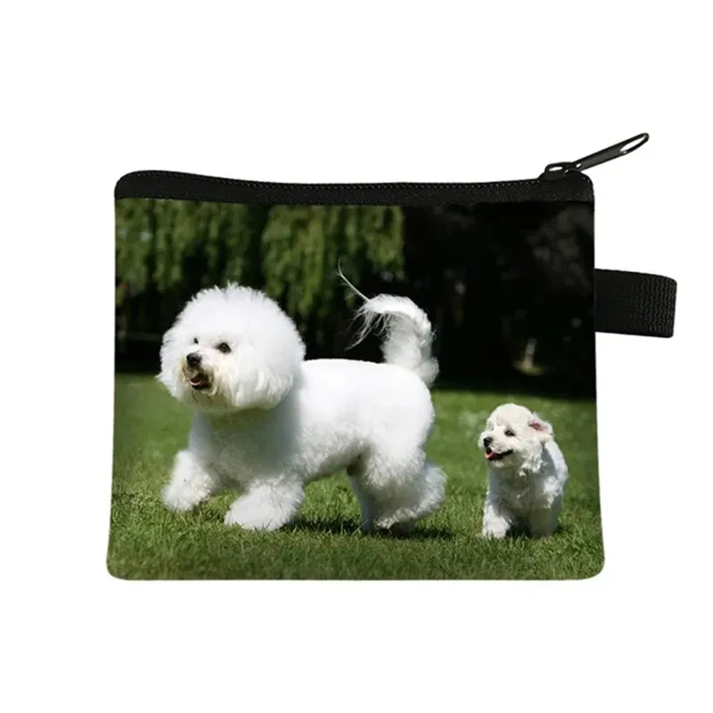 Bichon Frise/bolsillo para monedas de perro dálmata, bonito bolso de mano pequeño, bolso de viaje para niñas, tarjeta de crédito, auricular, monedero, Mini billetera