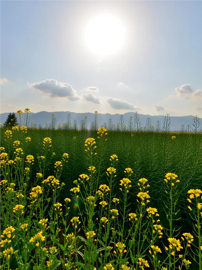 

Портативный лазерный аппарат 2-в-1: диодный лазер 808 нм и пикосекундный лазер для профессионального удаления волос, ухода за кожей и удаления татуировок и пигментации