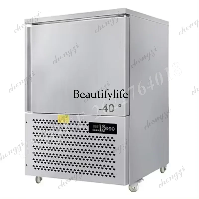 3-10 Tray Kitchen Quick Blast Freezer Commercial Fish Food Quick Upright Blast Freezer -40 Degree Frost Free Freezing