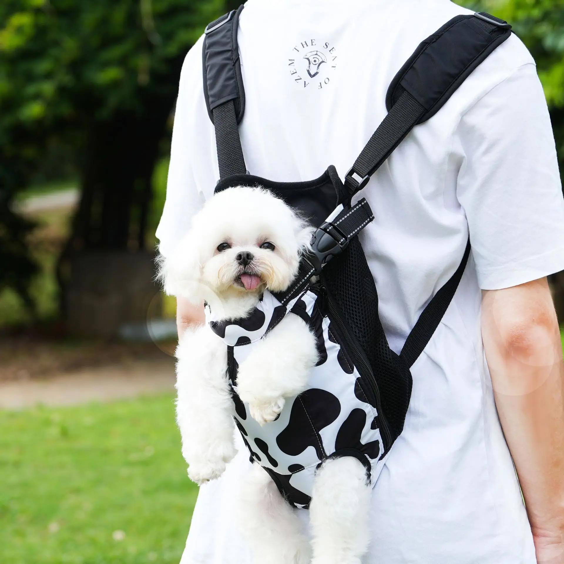 Регулируемый рюкзак для домашних животных, портативная сумка, рюкзак-воздушная коробка, путешествия на открытом воздухе, кемпинг, походы, маленькие собаки и кошки для использования на открытом воздухе