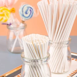 100Pcs 10cm Long Lollipop Stick For Lollipop Chocolate Sugar Stick Pole Handle Rod Cake Dough Tool Baking Child Plastic Food Bar