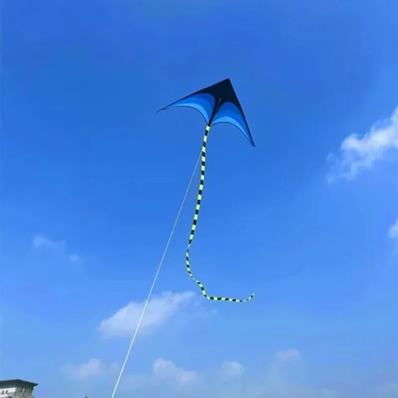 New Children kites flying outdoor fun toys nylon delta kite factory summer toys kitesurf wing kites line wind dragon naish buggy
