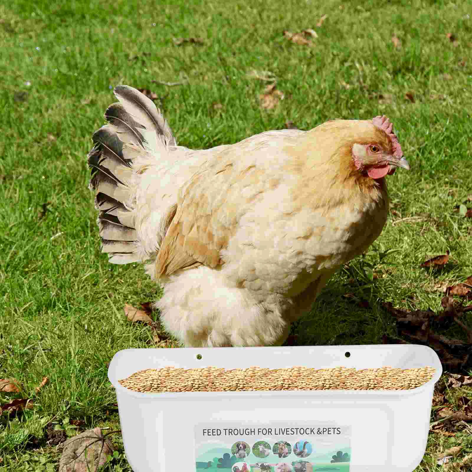 2 Pcs Chicken Feeder Plastic Bird Feeders Feeding Tray Goat Horse Trough Pp Water Bucket