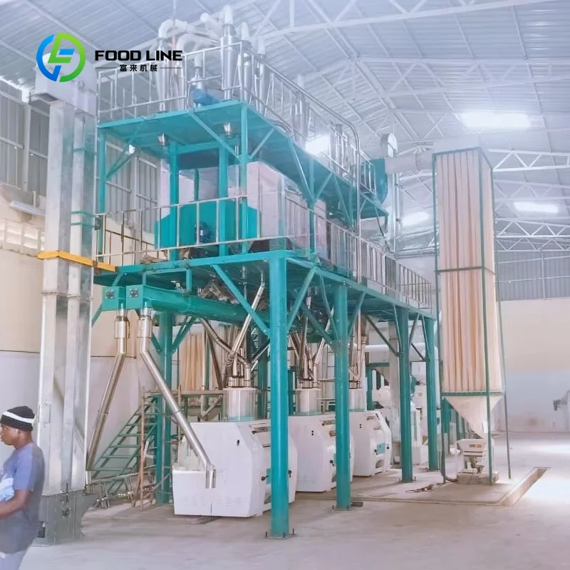 Customized Flour Corn Mill Ivory Coast 50TPD Automatic Maize Milling Plant