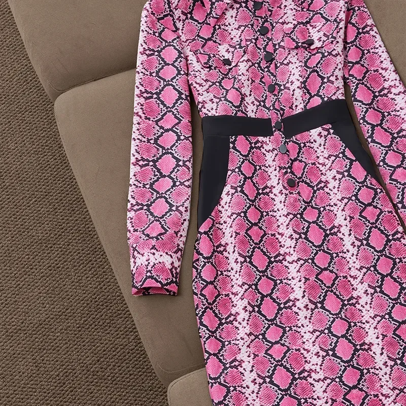 Robe Longue Imprimée pour Femme, Nouvelle Mode, Printemps