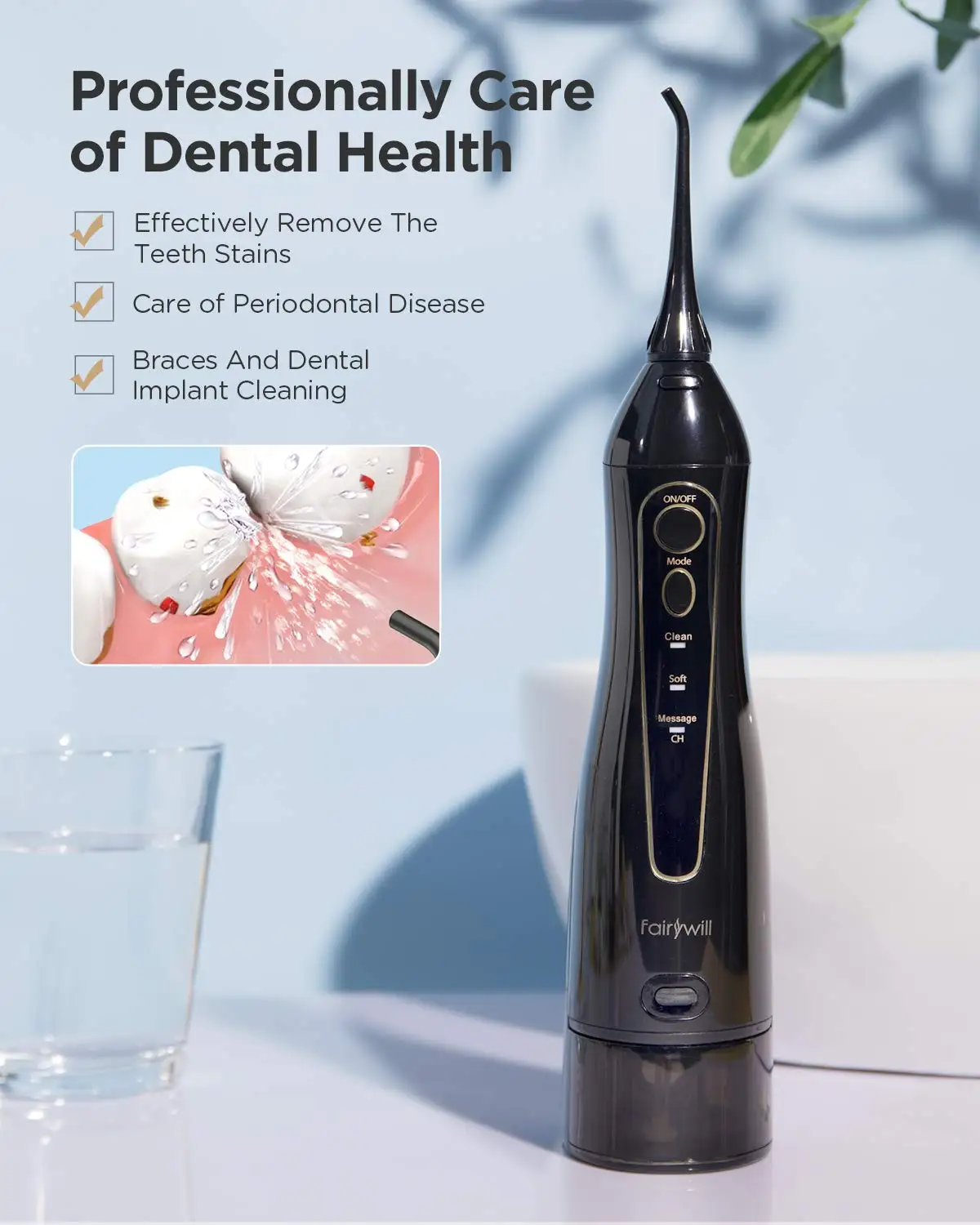 Fairywill Electric Sonic Toothbrush & Water Flosser USB Charge Waterproof 5 Modes 3 Brush Heads Toothbrushes Teeth Cleaner