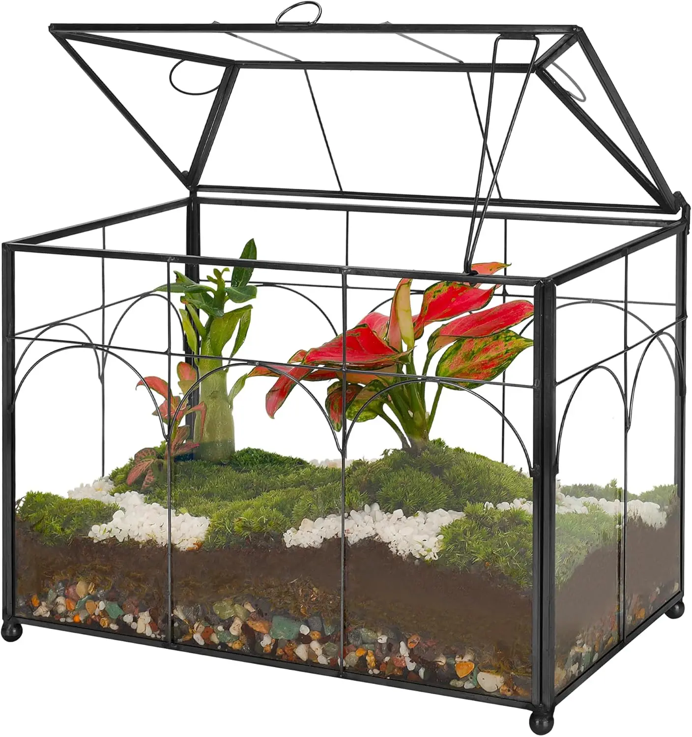 

Handmade Glass Planter Terrarium with Lid, Indoor Tabletop Centerpiece Display Box Modern Decor DIY Gift for Succulent Cacti Air Plants