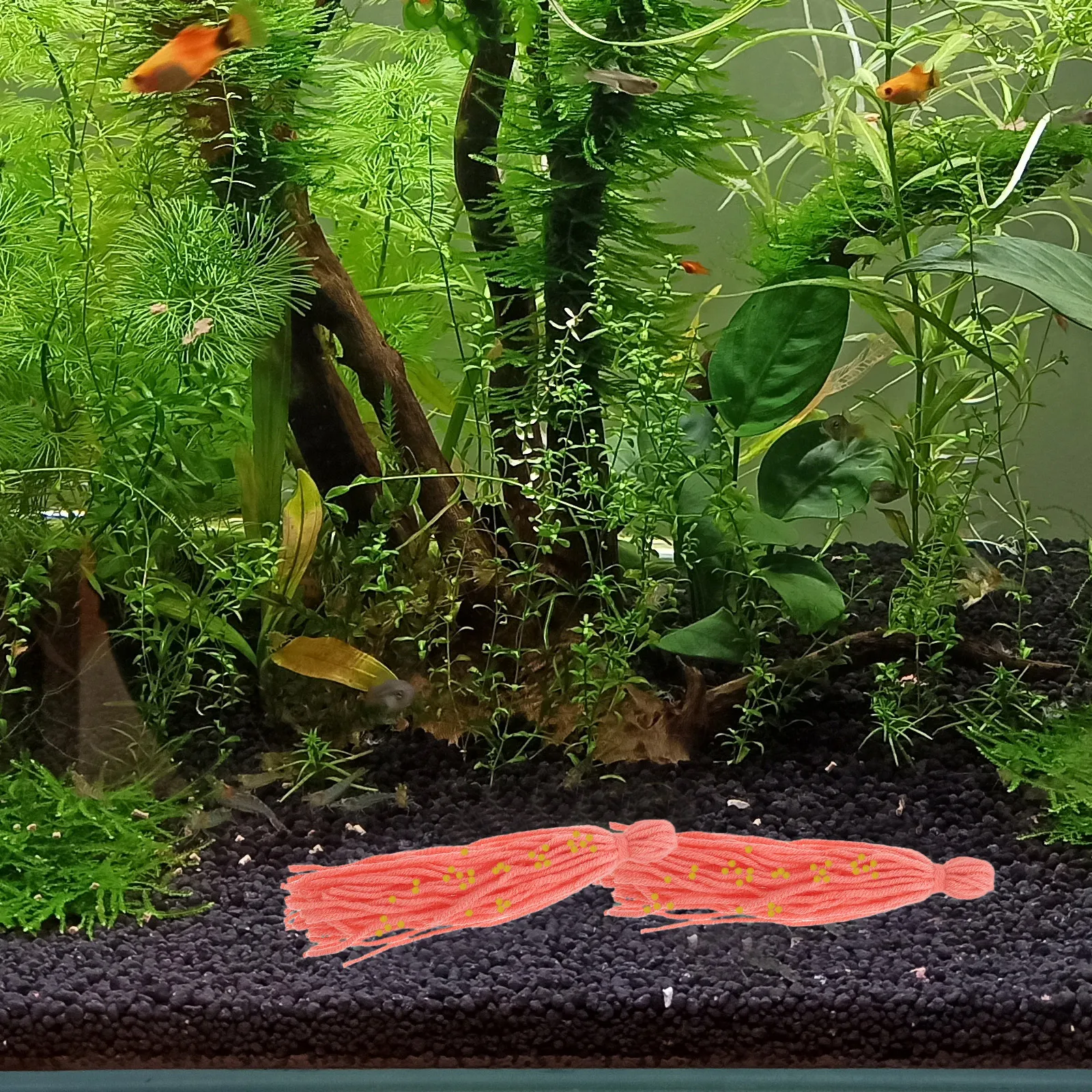 

10pcs Fish Breeding Mop Spawning Mops for Angelfish Shrimp Aquarium Tank Yarn Grass Spawn Container Fish Tank Supplies Fishing