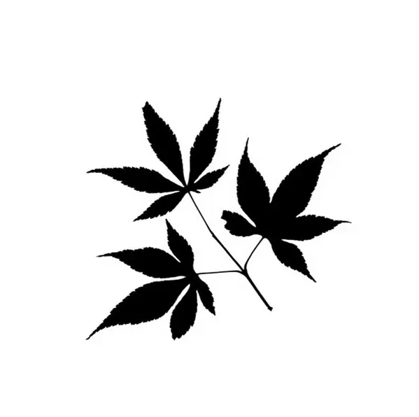 

Car Stickers maple leaf Fashion Car-Styling Decals Motorcycle PVC wide 15cm