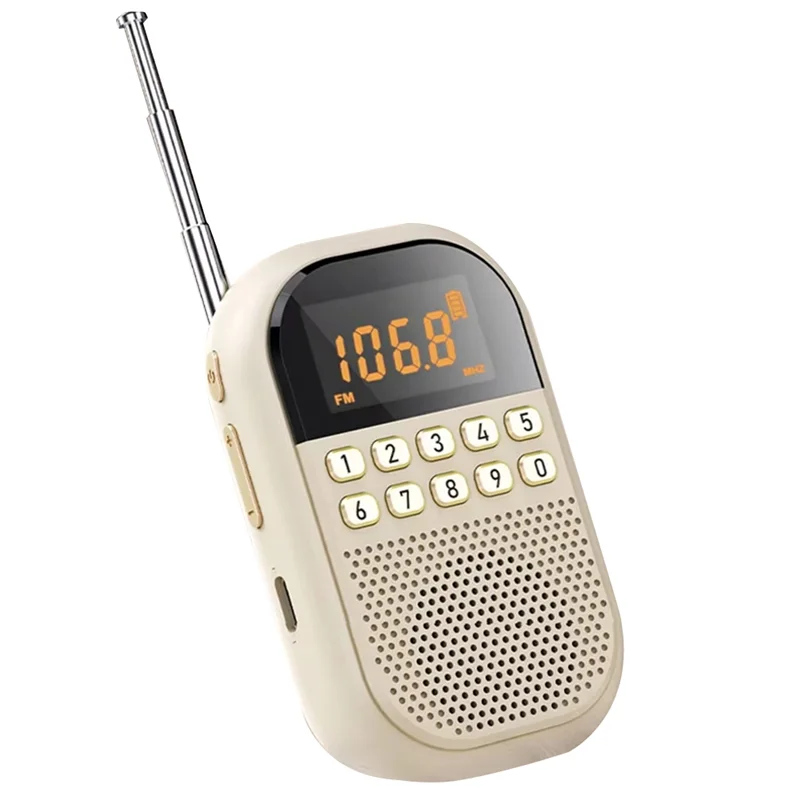 ABSQ-Mini Pocket FM AM-radio Groot LCD-scherm Radio-ontvanger Draadloze Bluetooth-luidspreker TF-kaart Muziekspeler voor ouderen