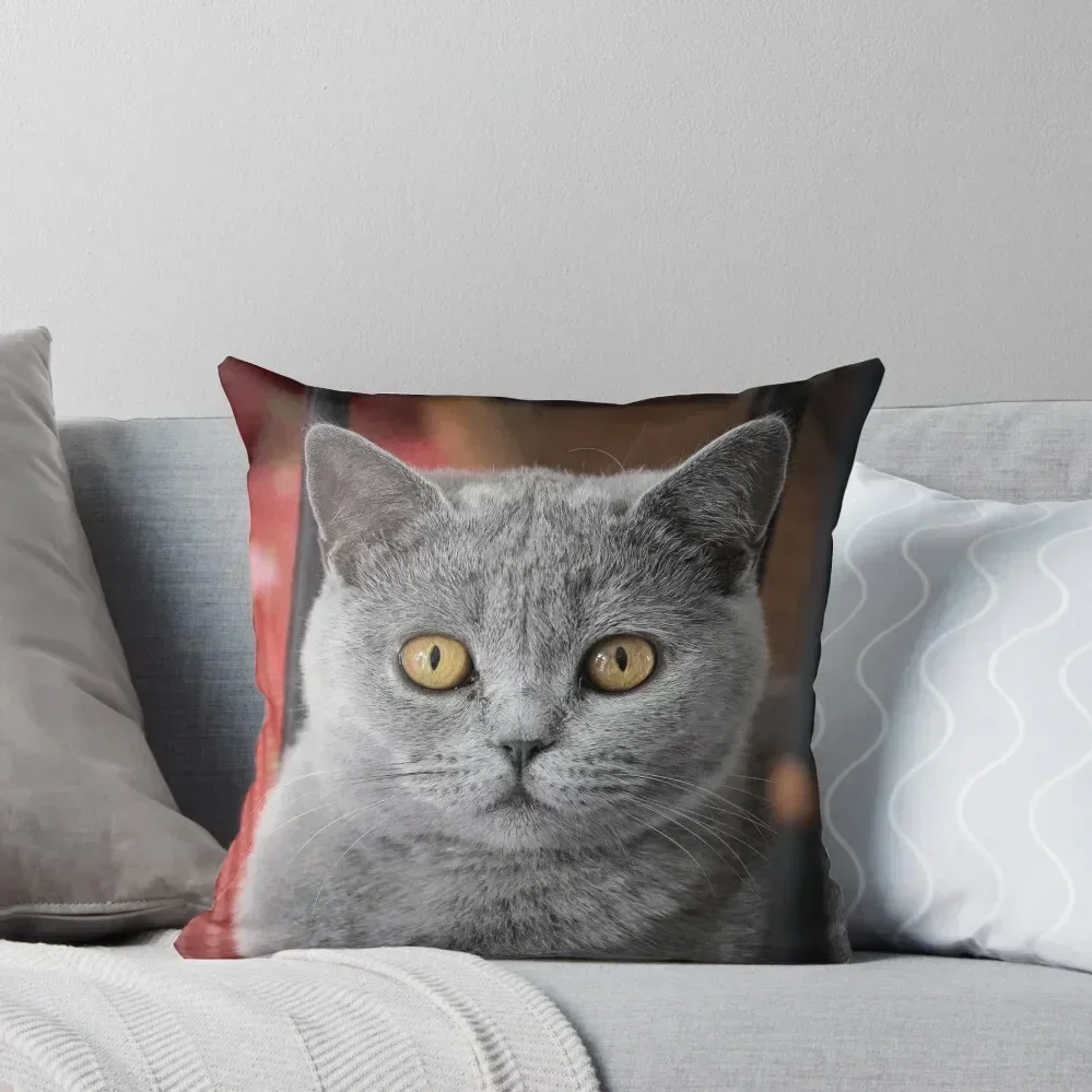 

British Shorthair Cat Throw Pillow christmas supplies Rectangular Cushion Cover pillow