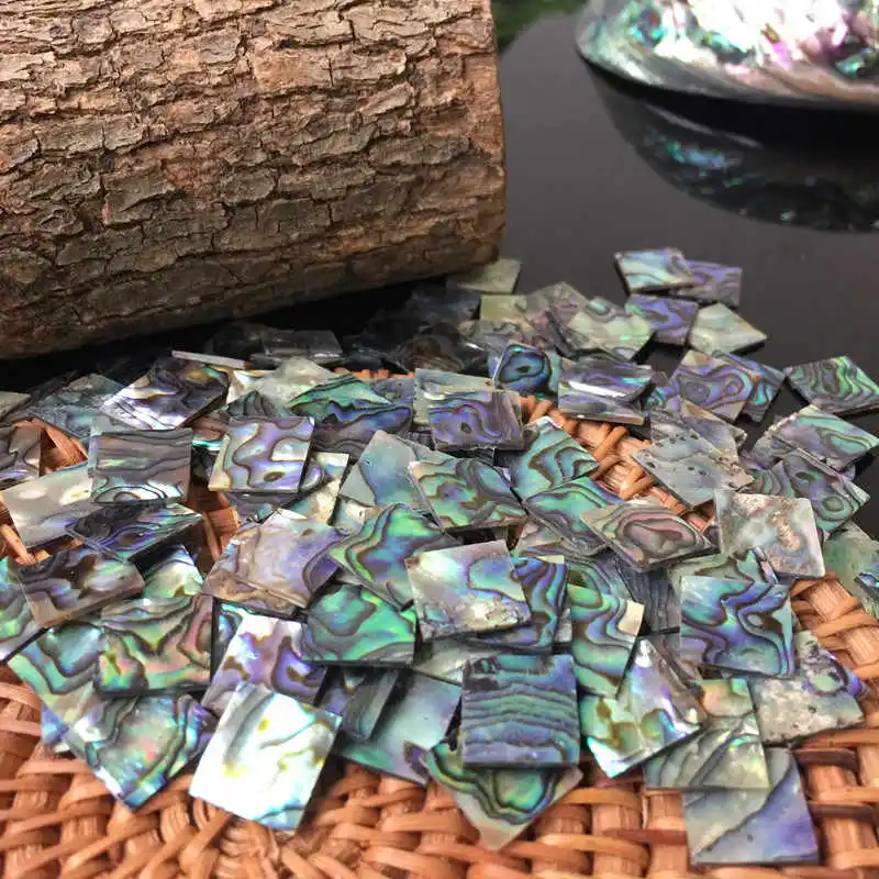 10pcs Natural Abalone Shell Chips Mother of Pearl Fragments DIY Lacquer Painting Handicraft Ornament Making Accessories 13mm
