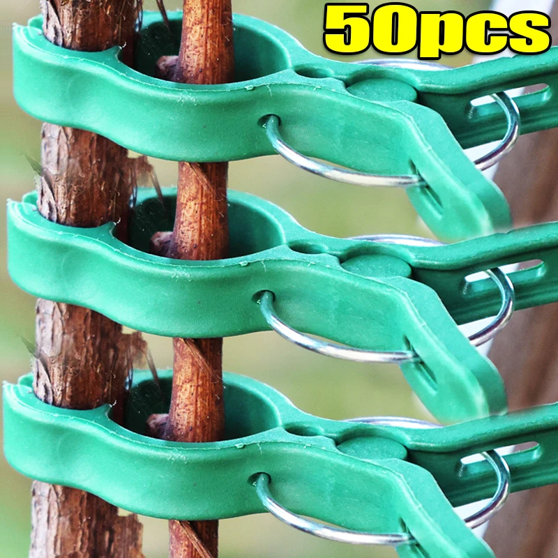 S/L Green Plant Sup…