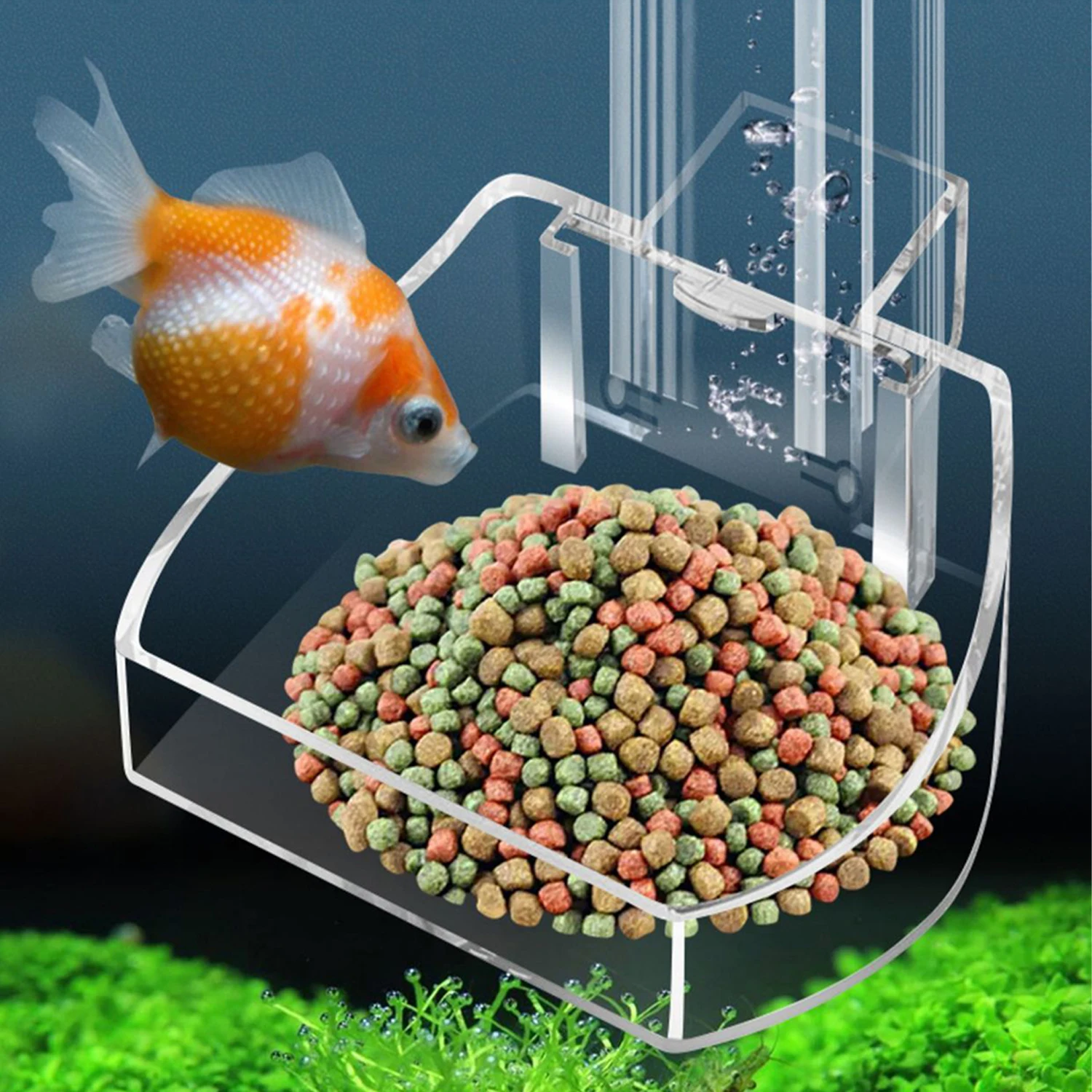 Tubo di alimentazione in acril - Aquarium Fish Variety recensione e prezzo