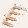 cat scratch ladder