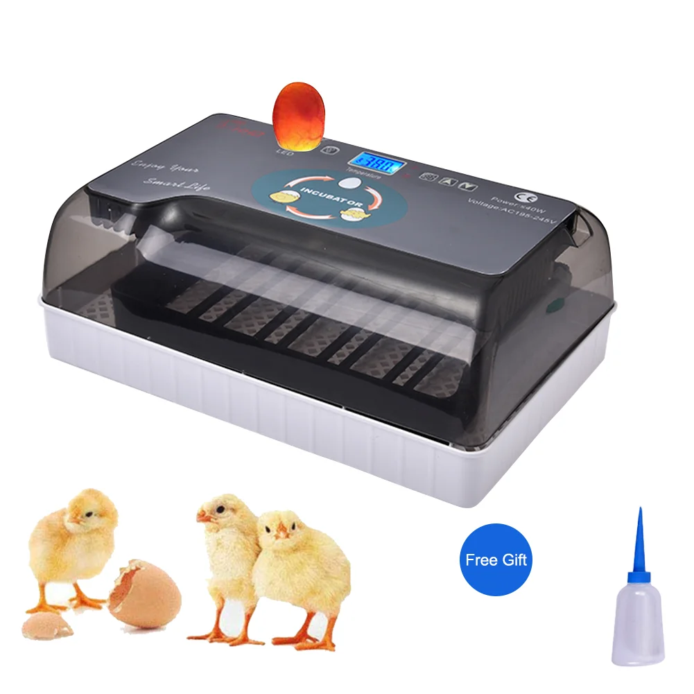 

Intelligent Humidity Control 12pcs Eggs Chick Hatching Machine Fully Automatic Household Poultry Breeding Incubator