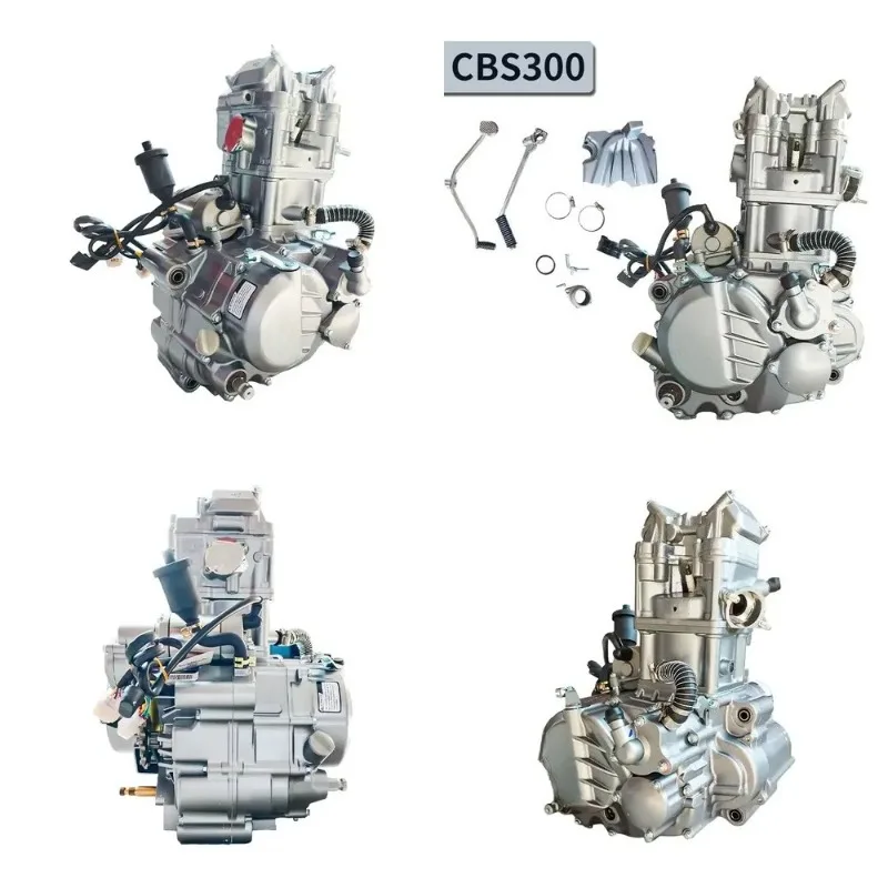 Zs 300cc Engine 4 Stroke 4 Valve 18.5KW CDI Water Cooled Balance Shaft 5 Speed Motorcycle Engine CBS300 Engine for Sale