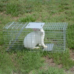 Automatic Metal Mouse Cage Trap Multi-Catch Large Size Animal Collapsible Rodent Steel Wire Cage Trap Used for Weasel Sable Cat