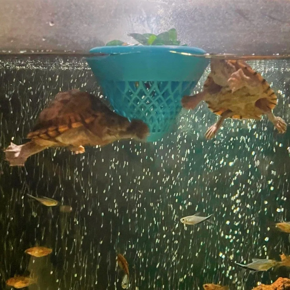 Decoration PLA Floating Flower Pot Floating Unique Aquarium Accessory Clear View with Holes Suspended Plant Pot Aquarium