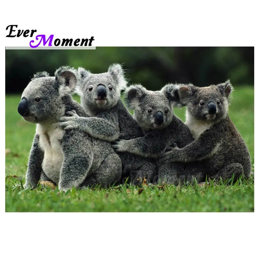 Ever Moment diamentowe malowanie Koala pełne diamentowe kwadraciki dekoracje do domu mozaika haft diamentowy 5D DIY Rhinestone ASF1364