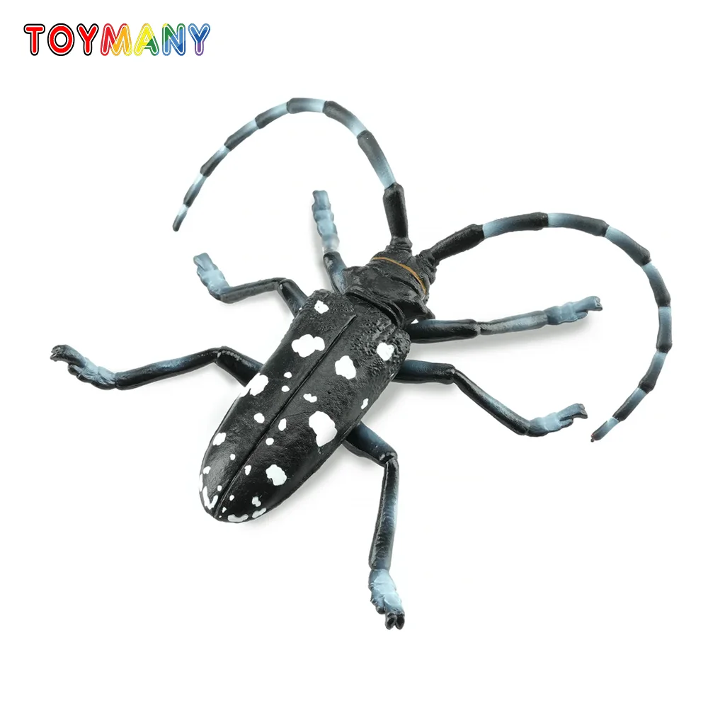 Toymany simulação cítrico longhorned besouro animatoymany simular modelo brinquedo mini figuras bonecas estatuetas de ação brinquedos crianças presente