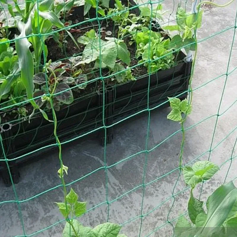 1Pc Horticultural Grid Net Garden Anti-Wind Anti-Lodging Climbing Net For Vines Cucumbers Morning Glory Grapes