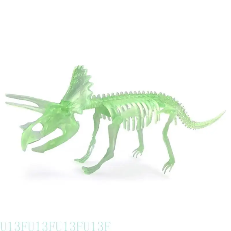 U13F عظام نموذج الديناصورات الحية عظام ما قبل التاريخ دينو الهيكل العظمي تمثال حديقة الحيوان المتاجر تزويد مصغرة تمثال الفصول