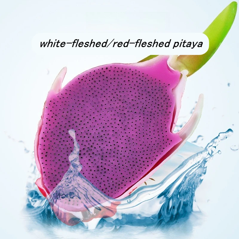 

Creative Stress Relief Squeeze Toys Simulation Squeeze Sensory Toy Soft Anti Anxiety Decompression Toy for Adults Kids Reusable