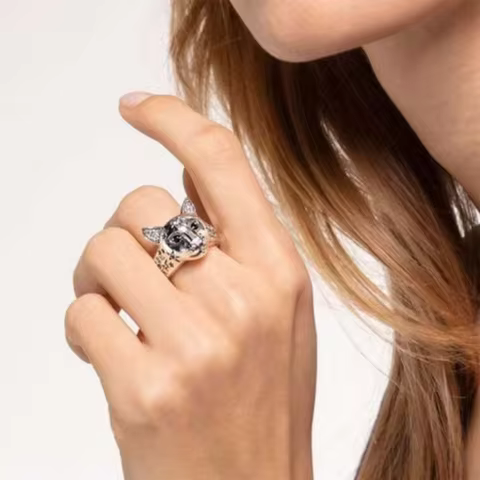 Silver Plated Cute Cat Rings for Women Crystal Zircon Carved Star Fashion Creative Finger Ring Girls Party Gift Boho