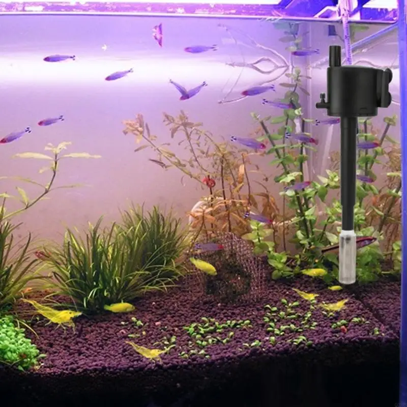 Q39b Filtro Aquarium Filtro Acquario Filtro Acquario Coperchio protezione per gamberetti Filtro in acciaio inossidabile in