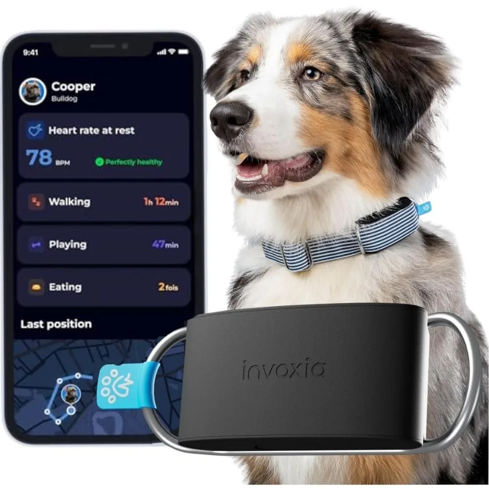 Minitailz - Health … - image