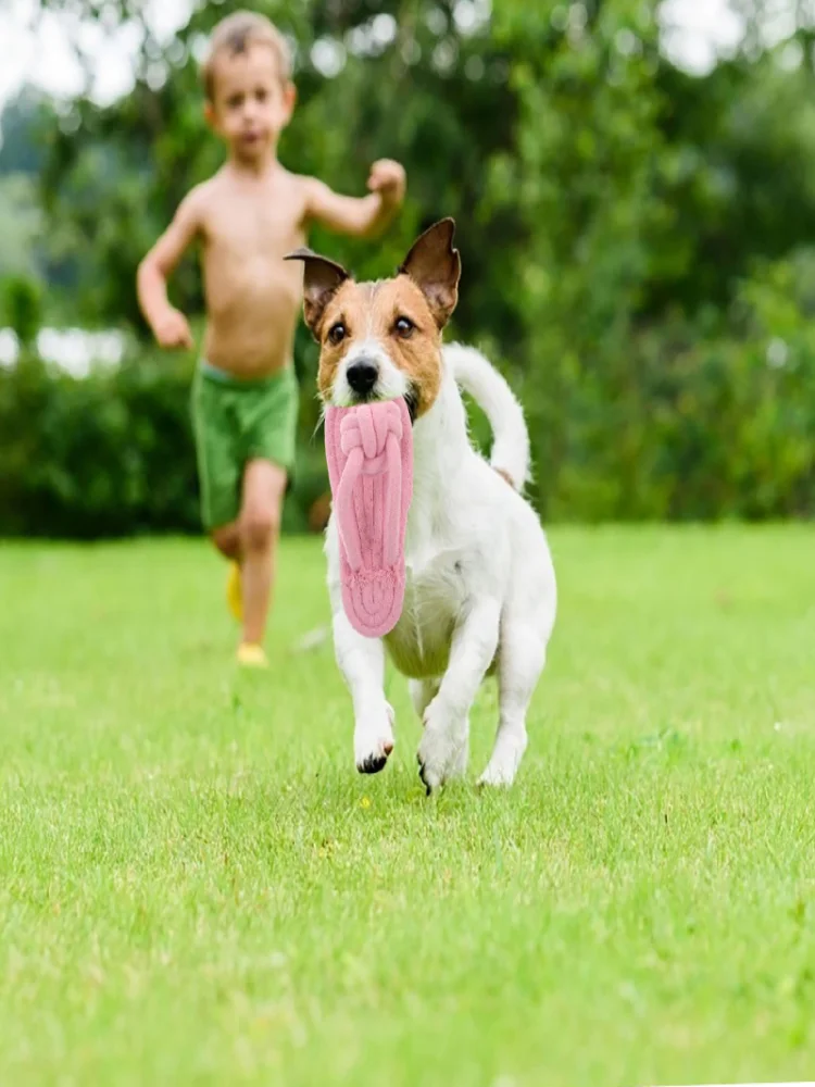 Thumbnail 3 - #45 Best Dog Chew Toys to Buy In 2026