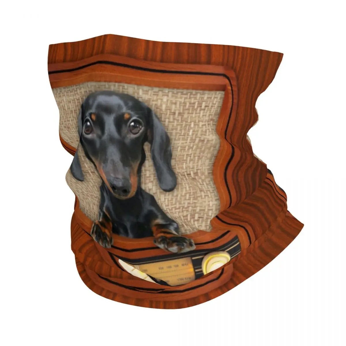 Dachshund Dog On Radio Bandana Neck Gaiter Windproof Face Scarf Cover Men Women Badger Wiener Sausage Headwear Tube Balaclava