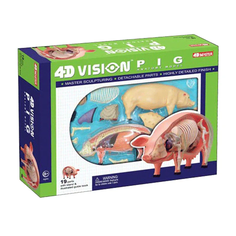 4D Vision Pig Organ Anatomy Model Animal Puzzle Toys for Kids and Medical Students Veterinary Teaching Model